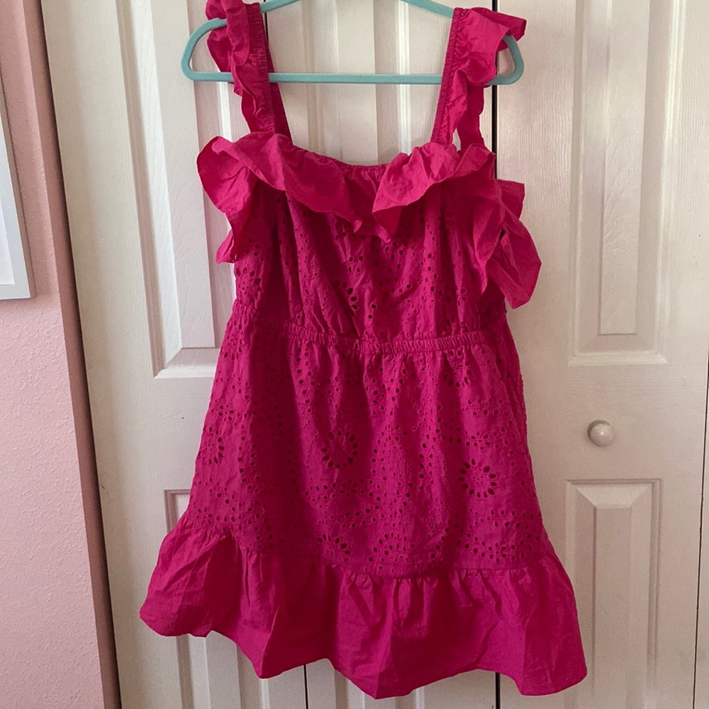 Cider Plus Size Pink Eyelet Dress NWT